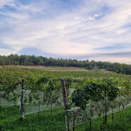 Bajta Fattoria Carsica *