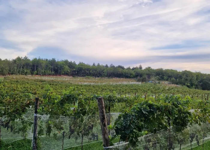 Bajta Fattoria Carsica *